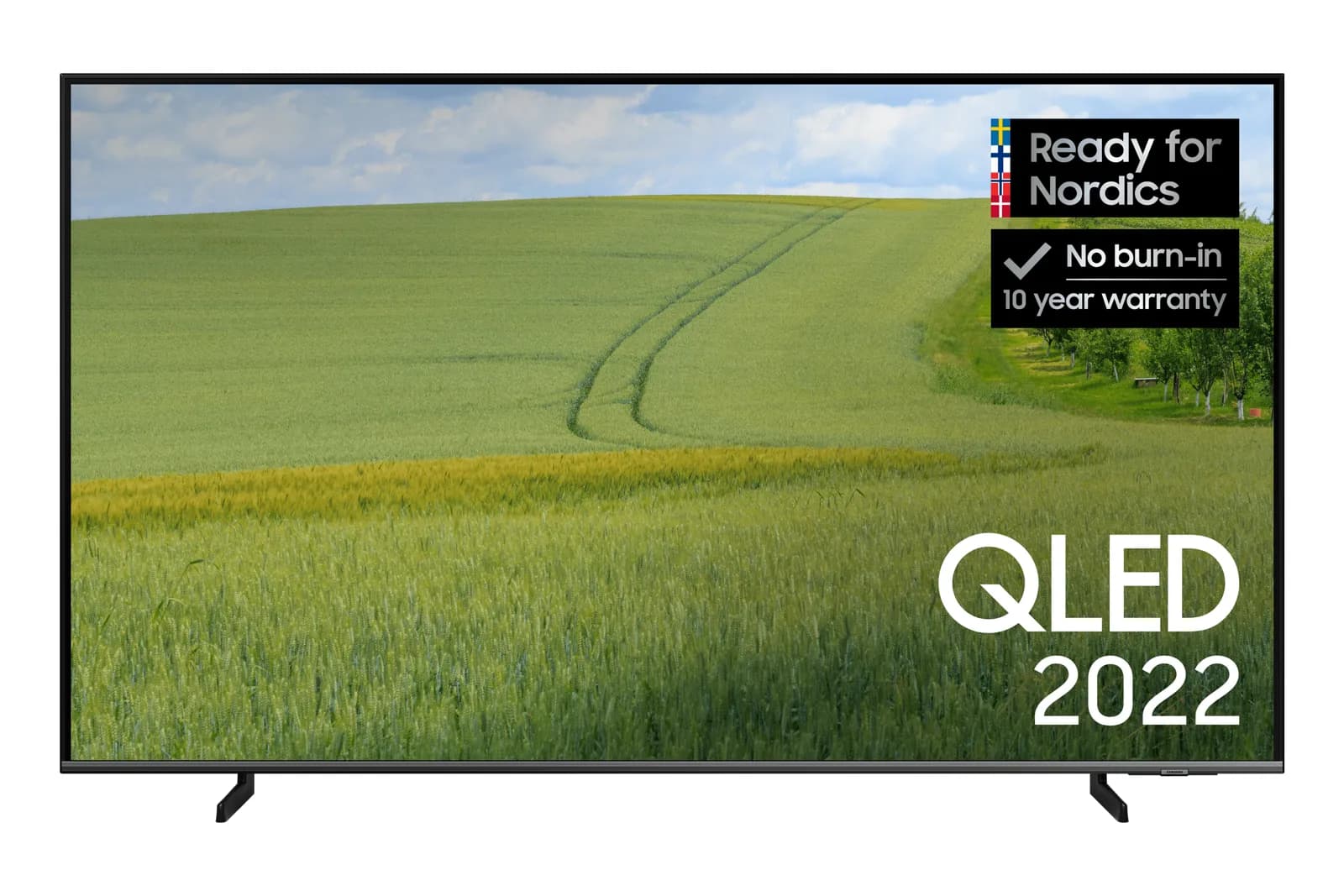 Samsung Q65B 55" QLED televizor