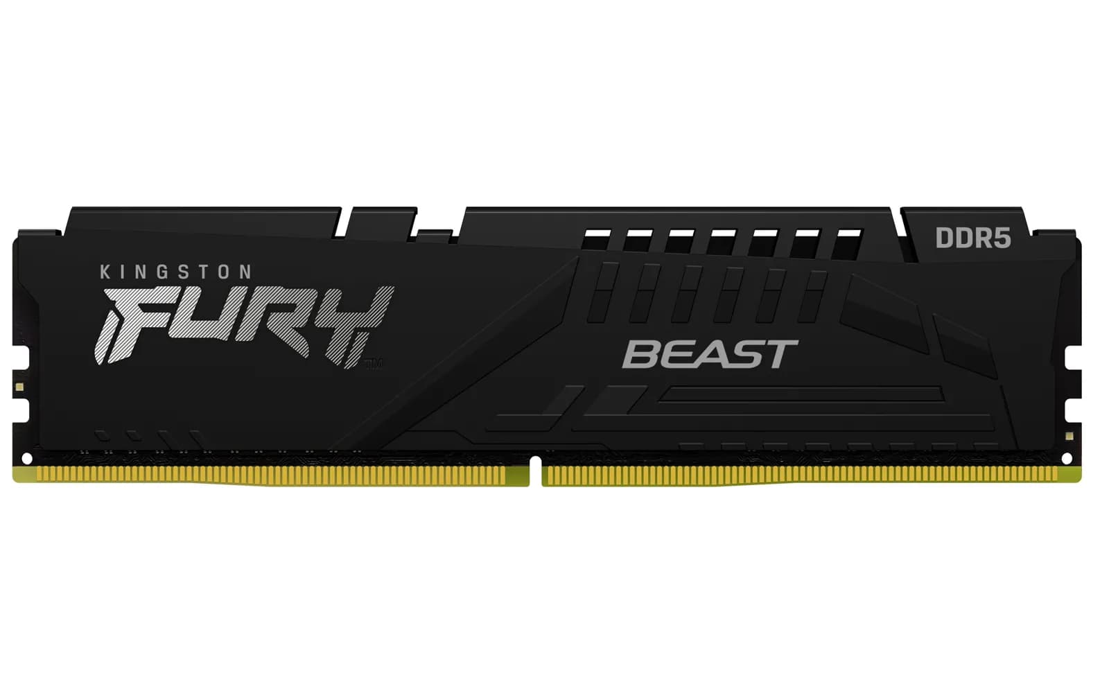 Kingston FURY Beast DDR5 5600, pakovanje