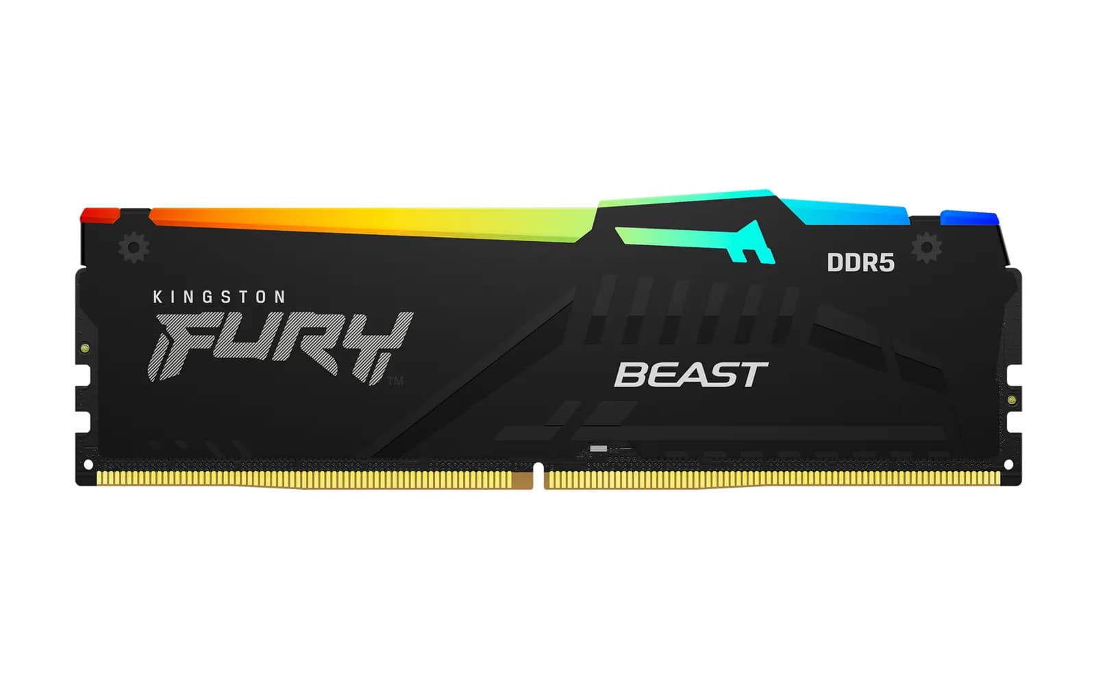 Kingston FURY Beast DDR5, pakovanje